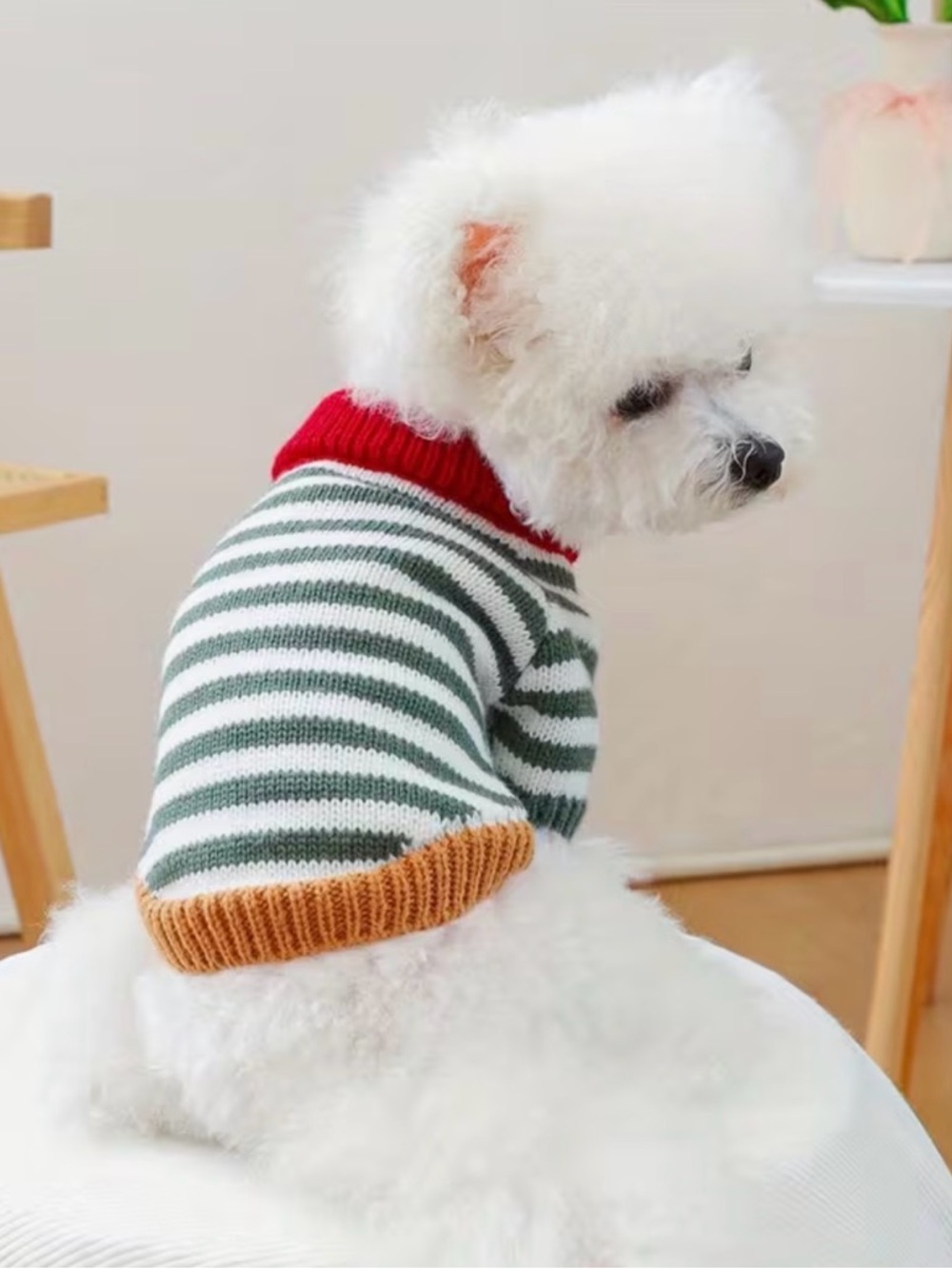 Striped Knit Cat or Dog Pet Sweater with Colorful Trim Sz M - Picture 3 of 9